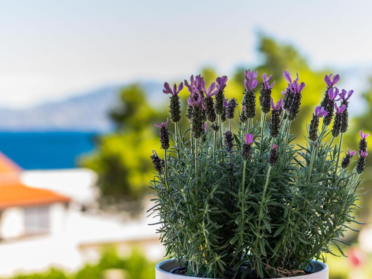 Apartment Villa 2 Pools-4 By Interhome Sutivan Εξωτερικό φωτογραφία